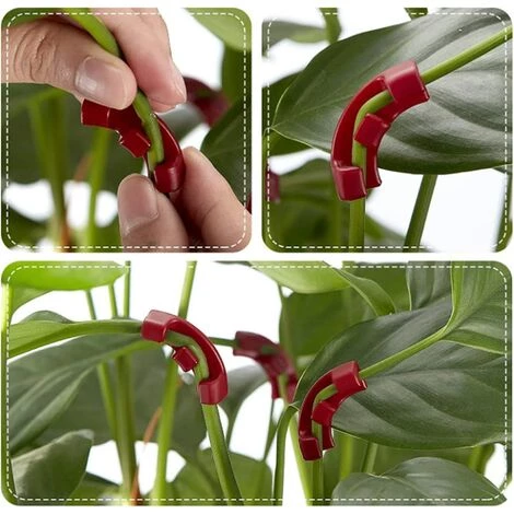 MEZHENG 90 Degrés Clips De Formateur De Plantes Branches D'Entraînement à Faible Stress Clips Plantes Pinces Plantes Pour Contrôler La Hauteur Forme La Plante Pour Le Jardinag 5 MEZHENG 90 Degrés Clips De Formateur De Plantes Branches D'Entraînement à Faible Stress Clips Plantes Pinces Plantes Pour Contrôler La Hauteur Forme La Plante Pour Le Jardinag – Image 3