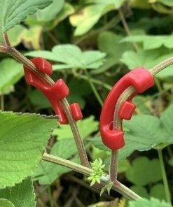 MEZHENG 90 Degrés Clips De Formateur De Plantes Branches D'Entraînement à Faible Stress Clips Plantes Pinces Plantes Pour Contrôler La Hauteur Forme La Plante Pour Le Jardinag 10 MEZHENG 90 Degrés Clips De Formateur De Plantes Branches D'Entraînement à Faible Stress Clips Plantes Pinces Plantes Pour Contrôler La Hauteur Forme La Plante Pour Le Jardinag -Accessoire de culture Soldes Boutique 66092099 4