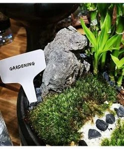 KAEJYIUT 100 Pieces Blanc Marqueurs En Plastique De Plantes Type T, Balises Durables De Marqueurs De Jardin Imperméables étiquettes De Semis -Accessoire de culture Soldes Boutique 66110372 4