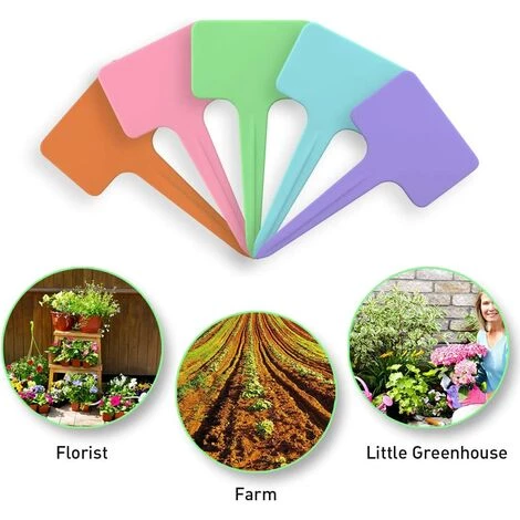 PESCE 100 étiquettes En Plastique Pour Plantes, étiquette En T Réutilisable Avec Marqueurs, étiquettes Pour Plantes De Jardin 2,35 X 3,95 Pouces (environ 6 X 10 Cm) 5 PESCE 100 étiquettes En Plastique Pour Plantes, étiquette En T Réutilisable Avec Marqueurs, étiquettes Pour Plantes De Jardin 2,35 X 3,95 Pouces (environ 6 X 10 Cm) – Image 3