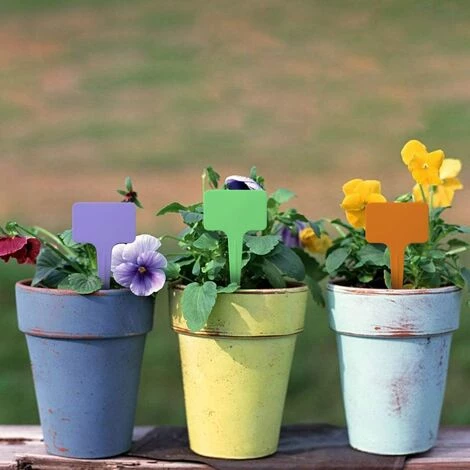 PESCE 100 étiquettes En Plastique Pour Plantes, étiquette En T Réutilisable Avec Marqueurs, étiquettes Pour Plantes De Jardin 2,35 X 3,95 Pouces (environ 6 X 10 Cm) 6 PESCE 100 étiquettes En Plastique Pour Plantes, étiquette En T Réutilisable Avec Marqueurs, étiquettes Pour Plantes De Jardin 2,35 X 3,95 Pouces (environ 6 X 10 Cm) – Image 4