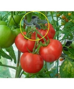 PESCE Pinces De Préhension à Boucle De Levier Pour Plantes Et Fleurs De Jardinage Vert Doux, Outil Pour Soutenir Ou Redresser Les Tiges De Plantes, Les Tiges Et Les Vignes 10 PESCE Pinces De Préhension à Boucle De Levier Pour Plantes Et Fleurs De Jardinage Vert Doux, Outil Pour Soutenir Ou Redresser Les Tiges De Plantes, Les Tiges Et Les Vignes -Accessoire de culture Soldes Boutique 66264027 4