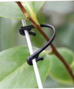 YEURIé Jardin Planter Des Vignes 50pcs Tied Boucle Fixe Arrimage Crochet Légumes De Serre Agricole Gadget Jardin Planters Plastique -Accessoire de culture Soldes Boutique 66332743 3