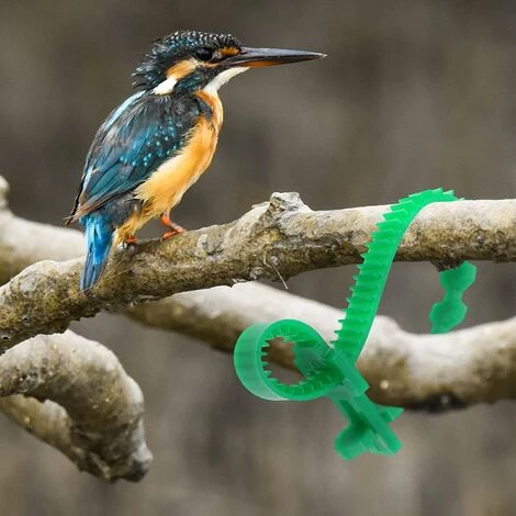 YEURIé 10 Pièces Jardin Des Plantes Jardin Des Liens Flexible De Torsion De Cravate Liens Végétales Support Pour Les Plantes Câble Cravate 4 YEURIé 10 Pièces Jardin Des Plantes Jardin Des Liens Flexible De Torsion De Cravate Liens Végétales Support Pour Les Plantes Câble Cravate – Image 2