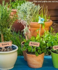 Accessoire de culture Soldes Boutique -Accessoire de culture Soldes Boutique 66332782 2