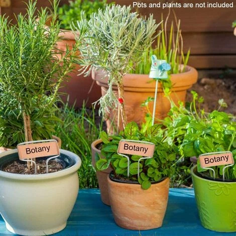 YEURIé Lot De 10 étiquettes De Plantes Réutilisables En Cuivre Plaqué De 25,4 Cm De Haut Pour Fleurs, Légumes, Pots De Fleurs, étiquettes De Jardin Résistantes Aux 4 YEURIé Lot De 10 étiquettes De Plantes Réutilisables En Cuivre Plaqué De 25,4 Cm De Haut Pour Fleurs, Légumes, Pots De Fleurs, étiquettes De Jardin Résistantes Aux – Image 2