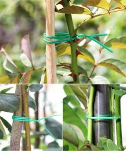 MèREÉTERNEL Liens De Jardinage Pour Ligatures, Rouleau De Lien Plastique Armé 30M, Dévidoir + Coup Fil Intégré - Facile à Nouer, Permet D'attacher Et Maintenir Vos Plantes Structurées Ternel -Accessoire de culture Soldes Boutique 66338666 5