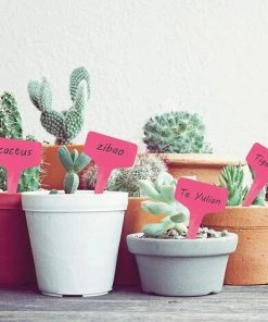 Étiquette De Jardin, 100 Pieces Marqueurs En Plastique De Plantes Type T Signes Plante Label Plantes Graines étiquettes, Pour Graines Pot Herbes Fleurs Légumes Pépinière (Rose) Adélala -Accessoire de culture Soldes Boutique 66378356 5