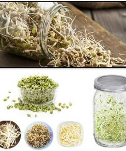 2 Germination Couvercles Pour Pot Mason Tamis Germination En Acier Inoxydable Pour éviter Rouille, Très Approprié Pour Culture De Germes De Soja à La Maison Adélala -Accessoire de culture Soldes Boutique 66379404 4