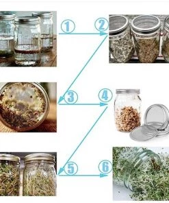 2 Germination Couvercles Pour Pot Mason Tamis Germination En Acier Inoxydable Pour éviter Rouille, Très Approprié Pour Culture De Germes De Soja à La Maison Adélala -Accessoire de culture Soldes Boutique 66379404 5