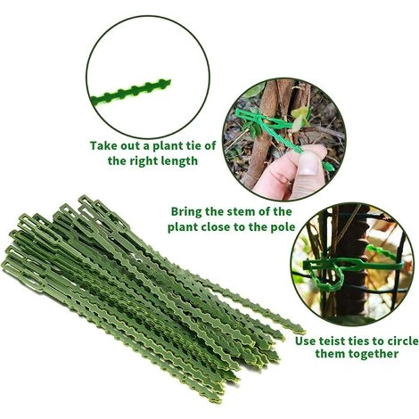 90 Pièces Attaches Pour Plantes Réglables Vertes, Pinces De Jardin, Attaches Câble Plastique, Supports Plantes Flexibles, Attaches Accroche Pour Jardin Plantes Tomates (17cm*30, 23cm*30, 13cm*30)——Adélala 6 90 Pièces Attaches Pour Plantes Réglables Vertes, Pinces De Jardin, Attaches Câble Plastique, Supports Plantes Flexibles, Attaches Accroche Pour Jardin Plantes Tomates (17cm*30, 23cm*30, 13cm*30)——Adélala – Image 4