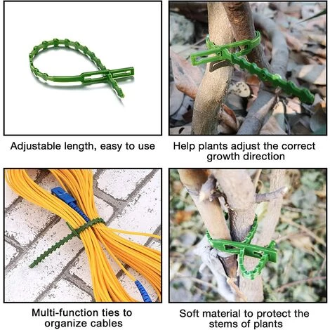 90 Pièces Attaches Pour Plantes Réglables Vertes, Pinces De Jardin, Attaches Câble Plastique, Supports Plantes Flexibles, Attaches Accroche Pour Jardin Plantes Tomates (17cm*30, 23cm*30, 13cm*30)——Adélala 7 90 Pièces Attaches Pour Plantes Réglables Vertes, Pinces De Jardin, Attaches Câble Plastique, Supports Plantes Flexibles, Attaches Accroche Pour Jardin Plantes Tomates (17cm*30, 23cm*30, 13cm*30)——Adélala – Image 5