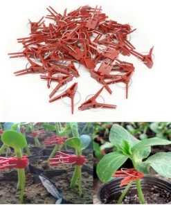 YEURIé 50pcs Intensification Clip Réutilisable Plat Et Rond De Fixation Goélands Outils Fleurs Greffoirs Clip De Protection Vigne Jardin Potager Buissons Seedlings Soutien