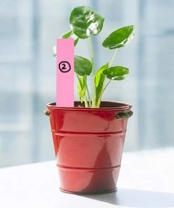 OCXIN Étiquettes De Jardin Lot De 100 étiquettes En Plastique Pour Plantes Étiquettes Pour Plantes Bleues Étiquettes Autocollantes 10 X 2 Cm Étiquettes En Plastique Étiquettes Pour Plantes Aromatiques Légumes -Accessoire de culture Soldes Boutique 66964653 4