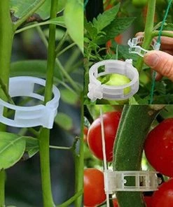 FLETéçA Plante Clips Support De Plantes Pour Légumes Tomates Et Plants De Vignes Lot De 100 Pinces à Plantes En Plastique Blanc Réutilisables Pour Petites Et Grandes Pousses Et Plantes Grimpantes Blanc -Accessoire de culture Soldes Boutique 66967934 4