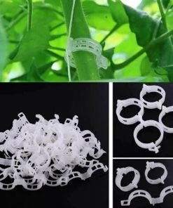 FLETéçA Plante Clips Support De Plantes Pour Légumes Tomates Et Plants De Vignes Lot De 100 Pinces à Plantes En Plastique Blanc Réutilisables Pour Petites Et Grandes Pousses Et Plantes Grimpantes Blanc -Accessoire de culture Soldes Boutique 66967934 5