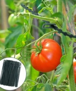 FLETéçA Attaches De Plantes Réglable Attaches De Torsion En Plastique Flexible Attaches De Câble De Jardin Pour Aider à Soutenir Les Plantes, Vignes 17cm 100 Pièces (Vert Foncé) -Accessoire de culture Soldes Boutique 66969241 3