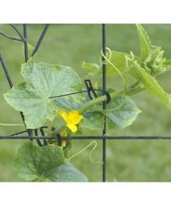 FLETéçA Attaches De Plantes Réglable Attaches De Torsion En Plastique Flexible Attaches De Câble De Jardin Pour Aider à Soutenir Les Plantes, Vignes 17cm 100 Pièces (Vert Foncé) -Accessoire de culture Soldes Boutique 66969241 5