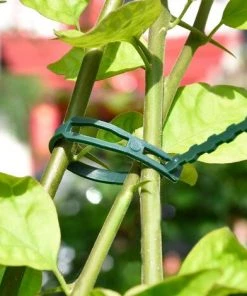 GALOZZOIT Attache Et Support De Plante Réglables, 50 Pièces, 170 Mm X 8 Mm, Vert Foncé -Accessoire de culture Soldes Boutique 66995587 4