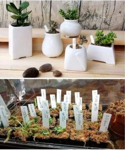 étiquette En Plastique Pour Plantes 100 Pièces, étiquette De Jardin En Plastique Blanc 10x2cm,Yeurié -Accessoire de culture Soldes Boutique 67256759 5