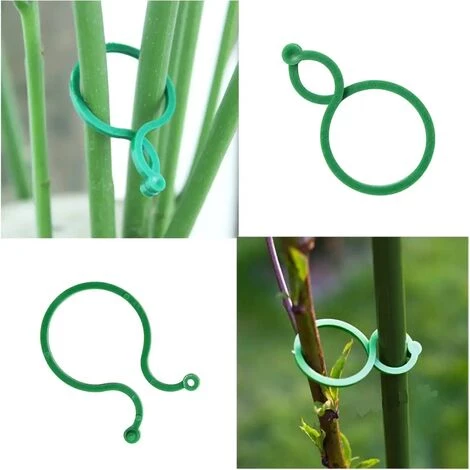 BDD 100 Pcs Clips De Jardin Support Pour Plantes Clips Twisty Plante Anneaux Pour Les Plantes Grimpantes Jardinage Boucle à Huit Caractères Plante Reliure Cravate Rotin Fleur Croissance Clip 4 BDD 100 Pcs Clips De Jardin Support Pour Plantes Clips Twisty Plante Anneaux Pour Les Plantes Grimpantes Jardinage Boucle à Huit Caractères Plante Reliure Cravate Rotin Fleur Croissance Clip – Image 2