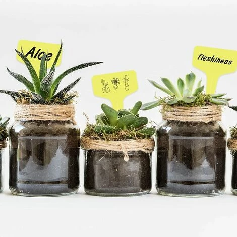 Lot De 100 étiquettes Jaunes En Plastique Pour Plantes Et Légumes 6 X 10 Cm,Tanètue 7 Lot De 100 étiquettes Jaunes En Plastique Pour Plantes Et Légumes 6 X 10 Cm,Tanètue – Image 5