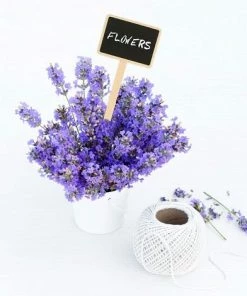 OSQI 10 Pieces 18.6CM Etiquette Bois Plante Jardin Potager Extérieur étiquette De Tableau Noir Marqueur De Plante 9 OSQI 10 Pieces 18.6CM Etiquette Bois Plante Jardin Potager Extérieur étiquette De Tableau Noir Marqueur De Plante -Accessoire de culture Soldes Boutique 67677133 3