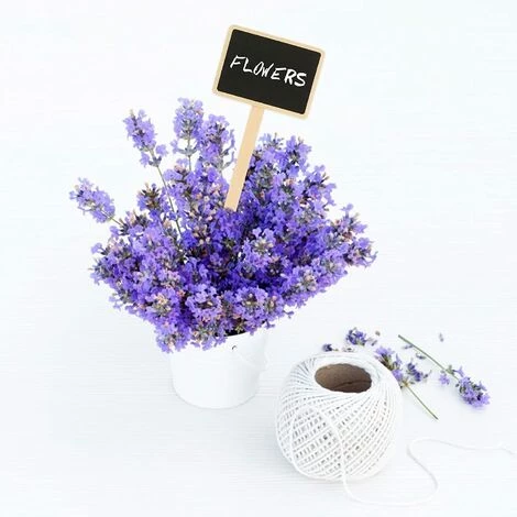 OSQI 10 Pieces 18.6CM Etiquette Bois Plante Jardin Potager Extérieur étiquette De Tableau Noir Marqueur De Plante 5 OSQI 10 Pieces 18.6CM Etiquette Bois Plante Jardin Potager Extérieur étiquette De Tableau Noir Marqueur De Plante – Image 3