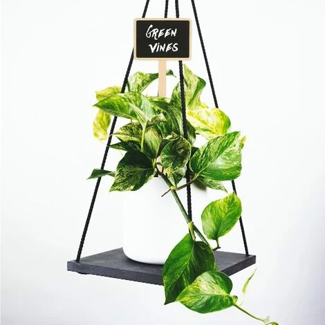 OSQI 10 Pieces 18.6CM Etiquette Bois Plante Jardin Potager Extérieur étiquette De Tableau Noir Marqueur De Plante 6 OSQI 10 Pieces 18.6CM Etiquette Bois Plante Jardin Potager Extérieur étiquette De Tableau Noir Marqueur De Plante – Image 4