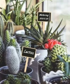 OSQI 10 Pieces 18.6CM Etiquette Bois Plante Jardin Potager Extérieur étiquette De Tableau Noir Marqueur De Plante 11 OSQI 10 Pieces 18.6CM Etiquette Bois Plante Jardin Potager Extérieur étiquette De Tableau Noir Marqueur De Plante -Accessoire de culture Soldes Boutique 67677133 5