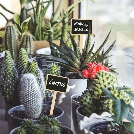 OSQI 10 Pieces 18.6CM Etiquette Bois Plante Jardin Potager Extérieur étiquette De Tableau Noir Marqueur De Plante 7 OSQI 10 Pieces 18.6CM Etiquette Bois Plante Jardin Potager Extérieur étiquette De Tableau Noir Marqueur De Plante – Image 5