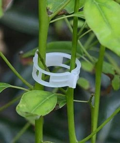 FLYME Clips De Greffe De Plantes,200 Pcs Clips De Vigne De Tomate, Support Pour Plantes De Jardin Clips Pour Les Légumes Tomate Vigne Tiges De Croissance Droit Et Plus -Accessoire de culture Soldes Boutique 67809186 3