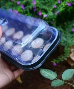 Cisea Plateau De Semis Deux-en-un, Avec 12 Blocs De Terreau Pour Semis Nutritifs, Coffret De Semis De Jardinage Pour Débutants -Accessoire de culture Soldes Boutique 68076156 3