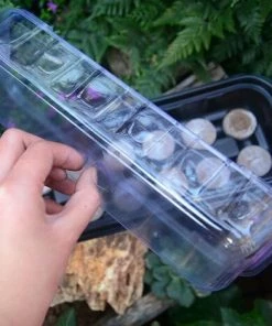 Cisea Plateau De Semis Deux-en-un, Avec 12 Blocs De Terreau Pour Semis Nutritifs, Coffret De Semis De Jardinage Pour Débutants -Accessoire de culture Soldes Boutique 68076156 4