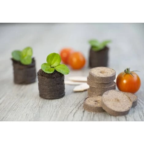 Kit De Propagateur 106 Pcs Nature 6 Kit De Propagateur 106 Pcs Nature – Image 4